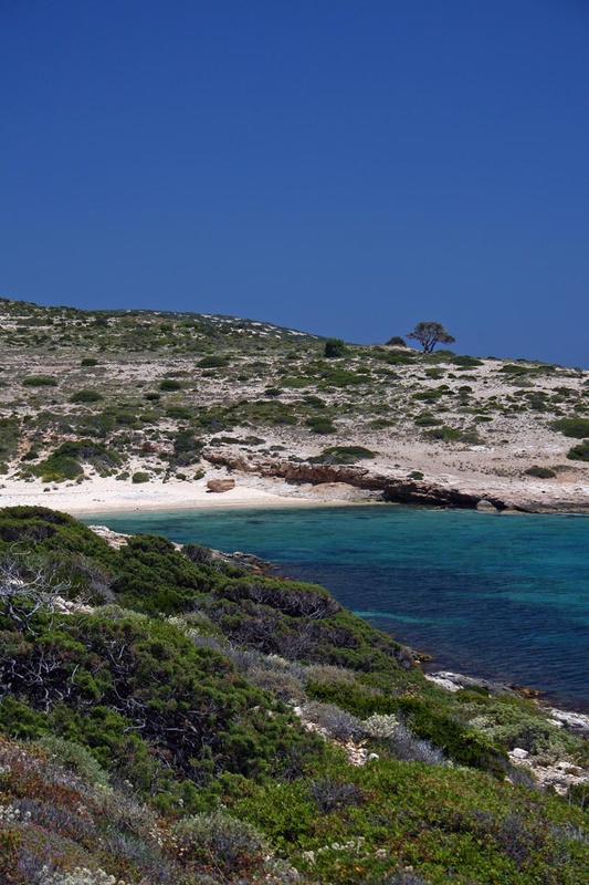 Donousa - Παραλίες Καλοταρίτισσας
